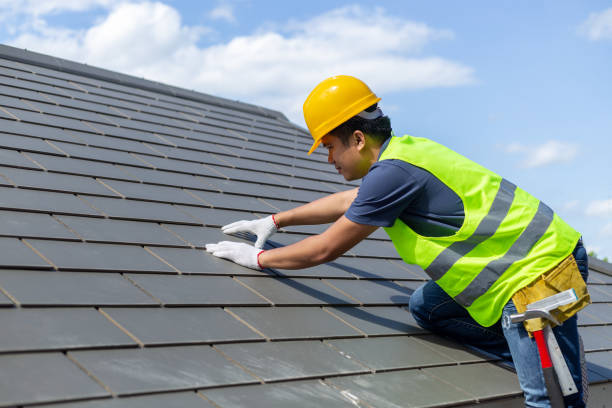 Best Local Roofing Companies  in Woodland Heights, PA
